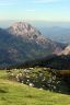 Campsite France basque country : montagne, berger
